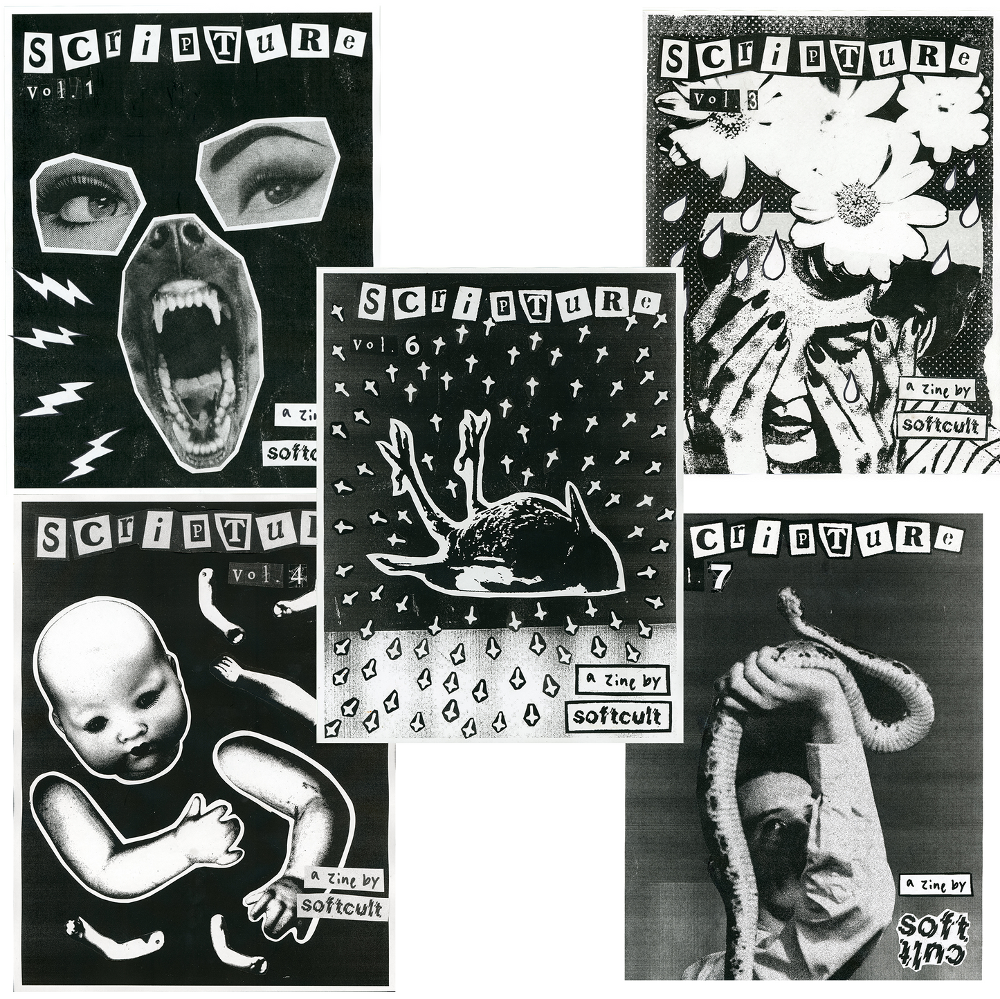 Monthly SubSCription to SCripture